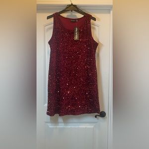NINA LEONARD - Plus Size Sequin Dress
